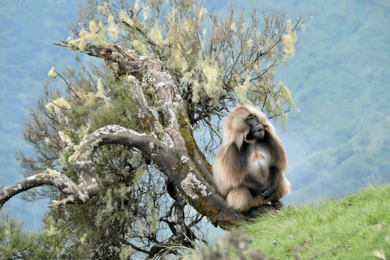 11 DAYS TRIP TO NORTH