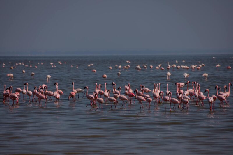 8 DAYS TOUR OMO VALLEY